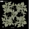 Reyyan İpek 100 cm Desenli Oyalık Yazma (ryyn-442-25)