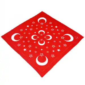 AyYıldız Elmina Polyester Oyalık Yazma