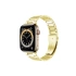 Apple Watch Uyumlu Olexi Çelik Loop Kordon