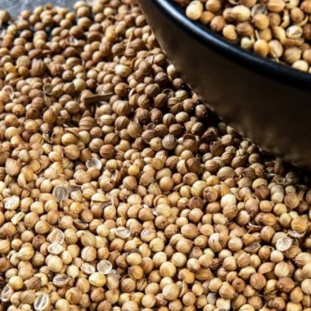Kişniş Tane 100 Gr