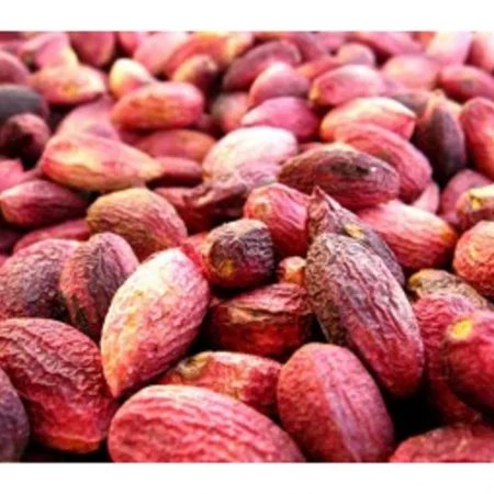 Antep Fıstığı Kabuklu 1 Kg
