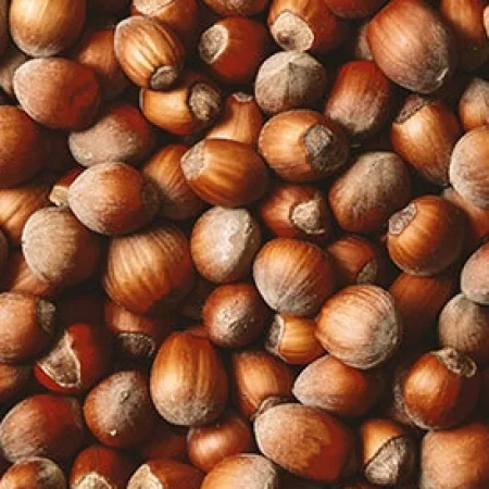 Kabuklu Fındık Duble Çiğ 1 Kg