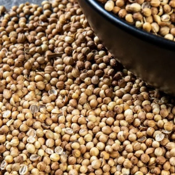 Kişniş Tane 100 Gr