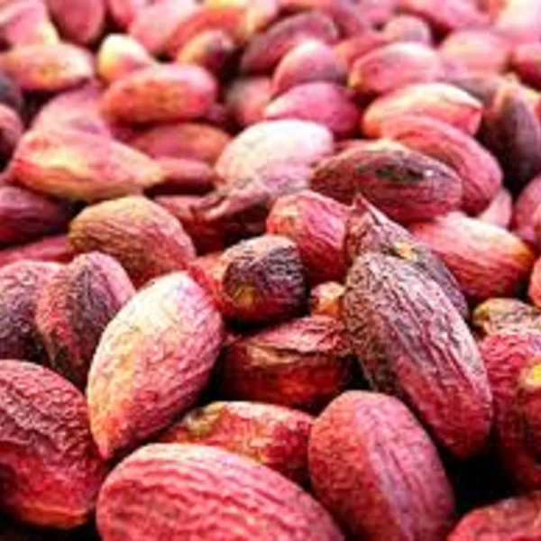 Antep Fıstığı Kabuklu 1 Kg