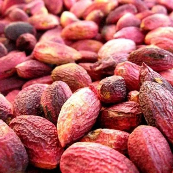 Antep Fıstığı Kabuklu 1 Kg