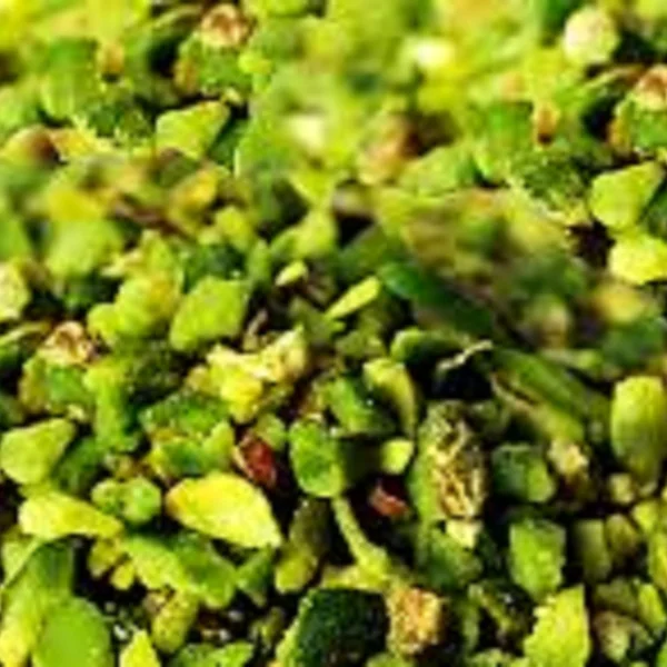 Antep Fıstığı Pirinç 250 Gr