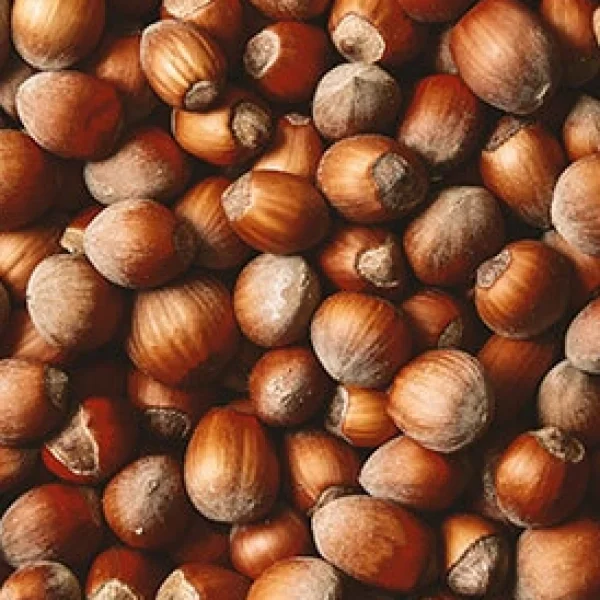 Kabuklu Fındık Duble Çiğ 1 Kg