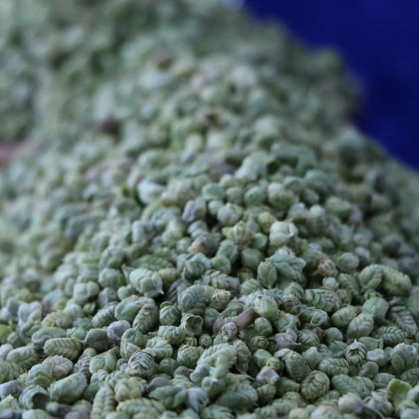 Bilye Kekik 100 Gr