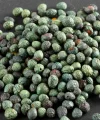 Taze Menengiç (Çitlenbik) 250 Gr