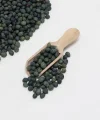 Taze Menengiç (Çitlenbik) 250 Gr
