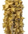 Kuruluk Dolmalık Kabak 1 Bağ