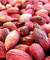 Antep Fıstığı Kabuklu 1 Kg