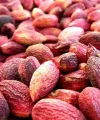 Antep Fıstığı Kabuklu 1 Kg
