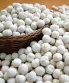 Beyaz Avare Leblebi 1 Kg