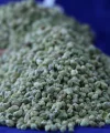 Bilye Kekik 100 Gr