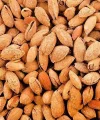 Kabuklu Badem 1 Kg