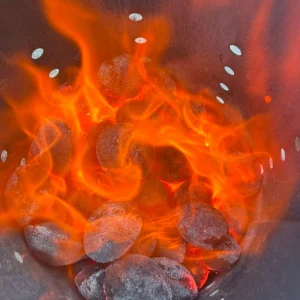 Briket Yumurta Kömür - 4 kg Sıkıştırılmış %100 Doğal Barbekü Mangal Kömürü