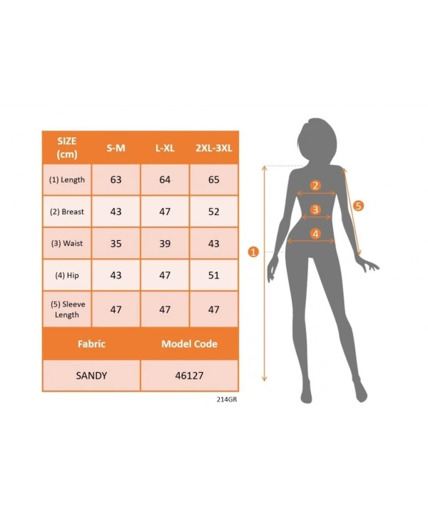 Kadın Truvakar Kollu Kruvaze Yakalı Simli Sandy Bluz