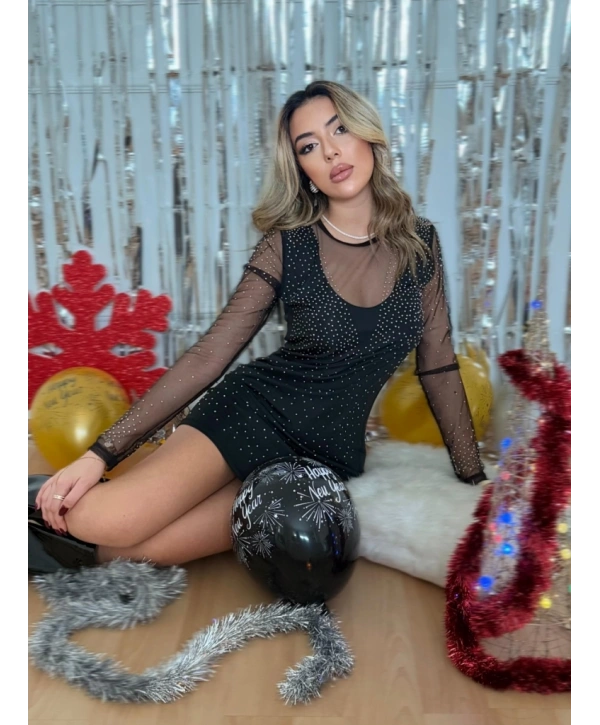 Kadın Uzun Kollu Yuvarlak Yaka Dekolteli Taşlı Dalgıç Elbise