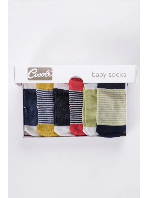 Cocole Socks Unisex Bebek Çorabı Kutulu 6’lı Set Pamuklu Çizgili 0-1 Yaş