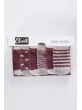 Cocole Socks Kız Bebek Çorabı Kutulu 6’lı Set Pamuklu Bordo 0-1 Yaş