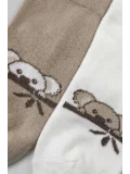 Cocole Socks Erkek Çocuk Patik Çorabı 2’li Set Krem & Bej Koala Desenli