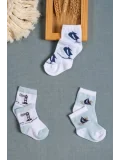 Cocole Socks Erkek Çocuk Soket Çorabı 3’lü Set – Pamuklu Marin & Deniz Desenli