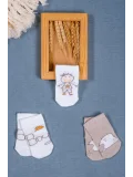 Cocole Socks Erkek Bebek Soket Çorabı 3’lü Set – Pamuklu Kahverengi Ayıcık & Çocuk Figür Desenli