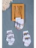 Cocole Socks Erkek Çocuk Soket Çorabı 3’lü Set – Pamuklu Safari & Hayvan Figürü Desenli