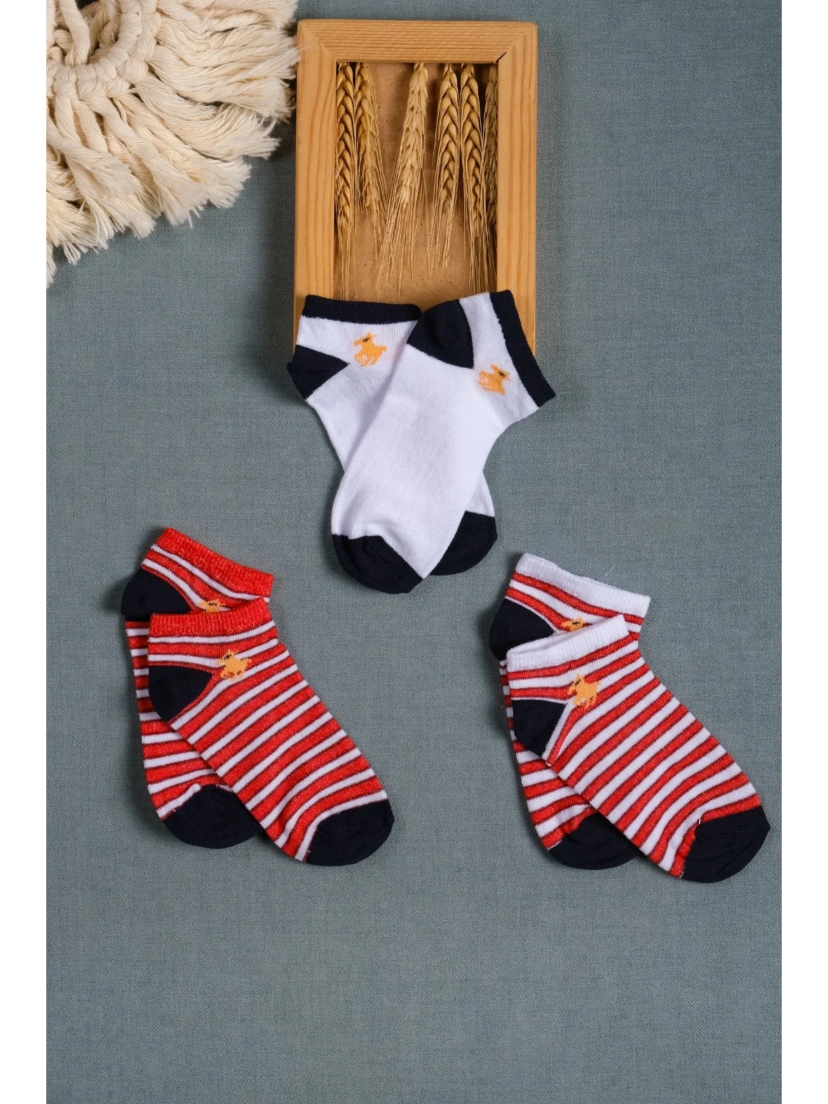 Cocole Socks Erkek Bebek Patik Çorabı 3’lü Set – Pamuklu Çizgili & Sade Desenli
