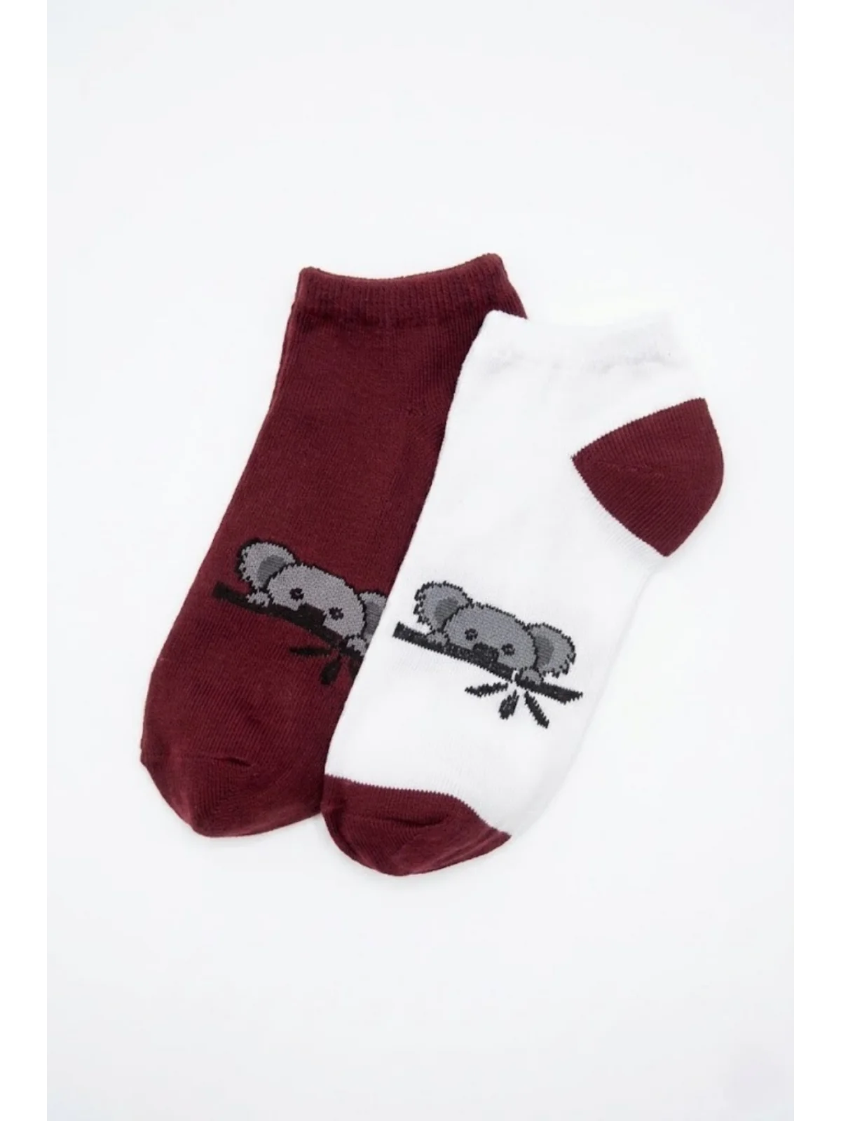 Cocole Socks Çocuk Patik Çorabı 2’li Set Pamuklu Beyaz & Bordo Koala Desenli