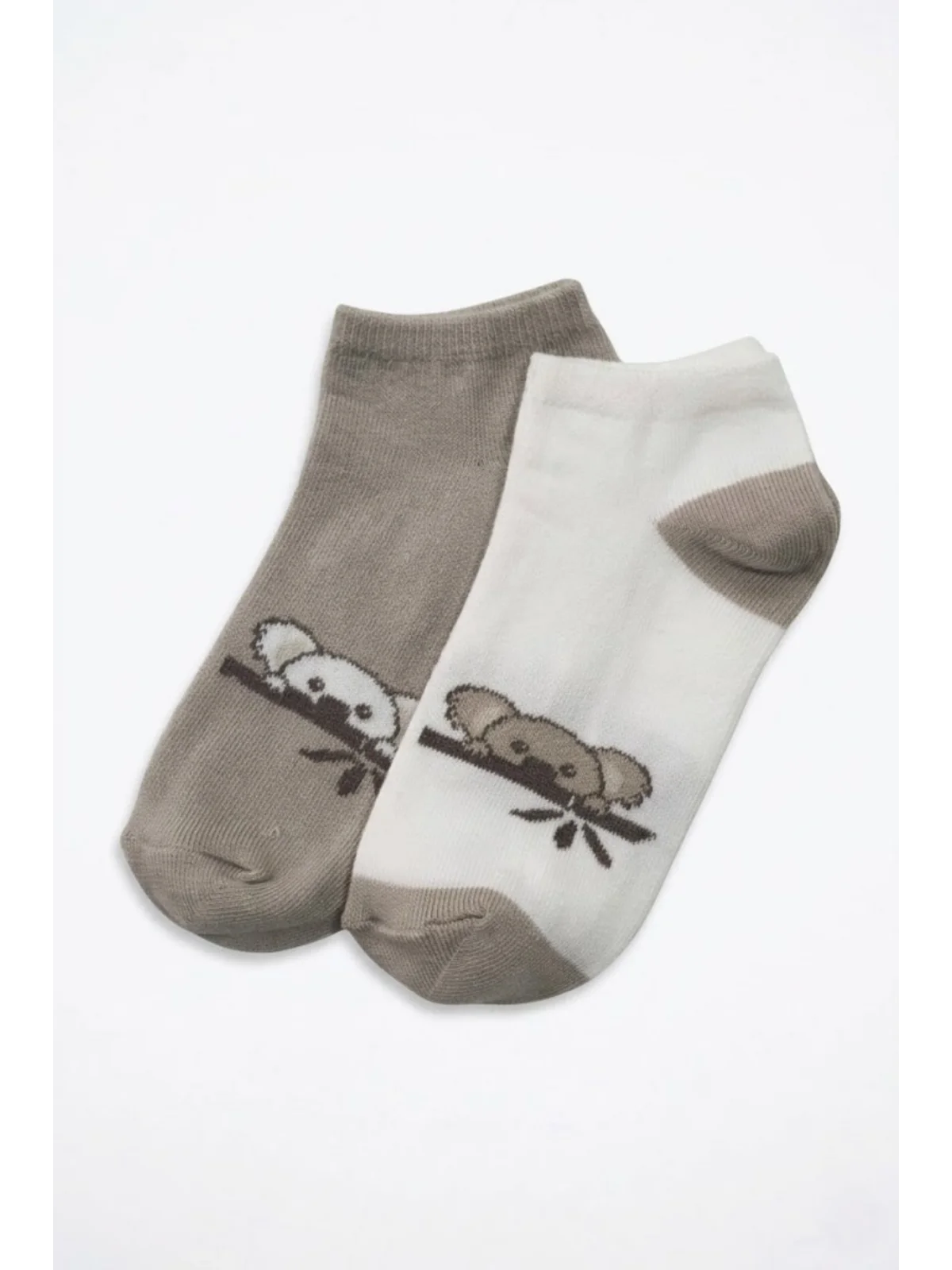 Cocole Socks Erkek Çocuk Patik Çorabı 2’li Set Krem & Bej Koala Desenli