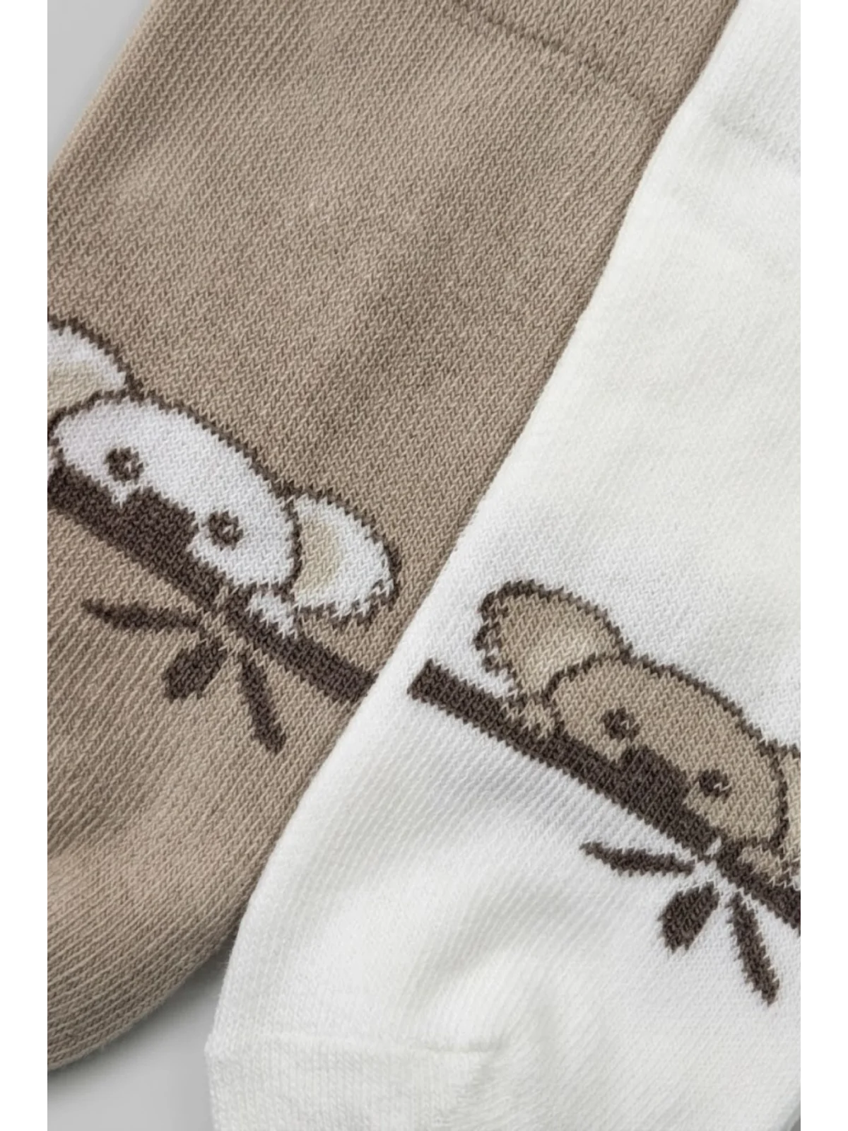 Cocole Socks Erkek Çocuk Patik Çorabı 2’li Set Krem & Bej Koala Desenli
