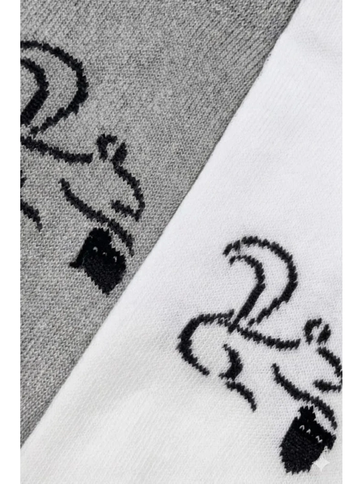 Cocole Socks Erkek Çocuk Patik Çorabı 2’li Set Beyaz & Gri Sincap Desenli