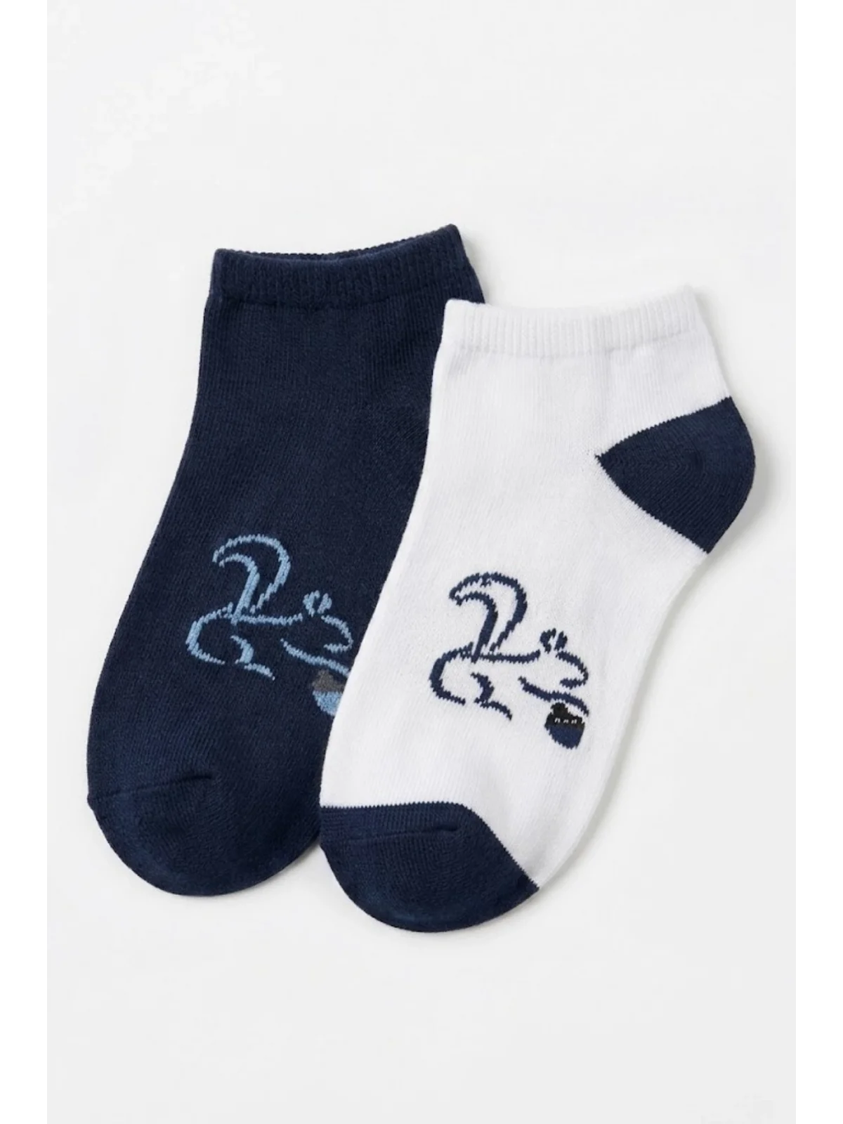 Cocole Socks Erkek Çocuk Patik Çorabı 2’li Set Beyaz & Lacivert Sincap Desenli