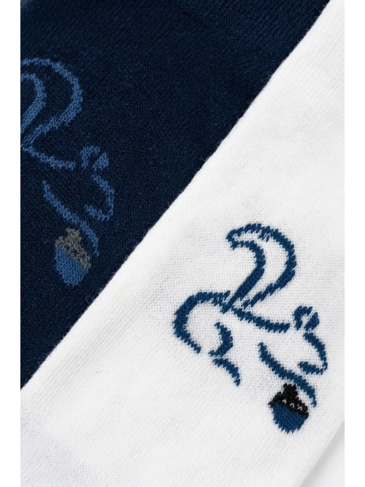 Cocole Socks Erkek Çocuk Patik Çorabı 2’li Set Beyaz & Lacivert Sincap Desenli