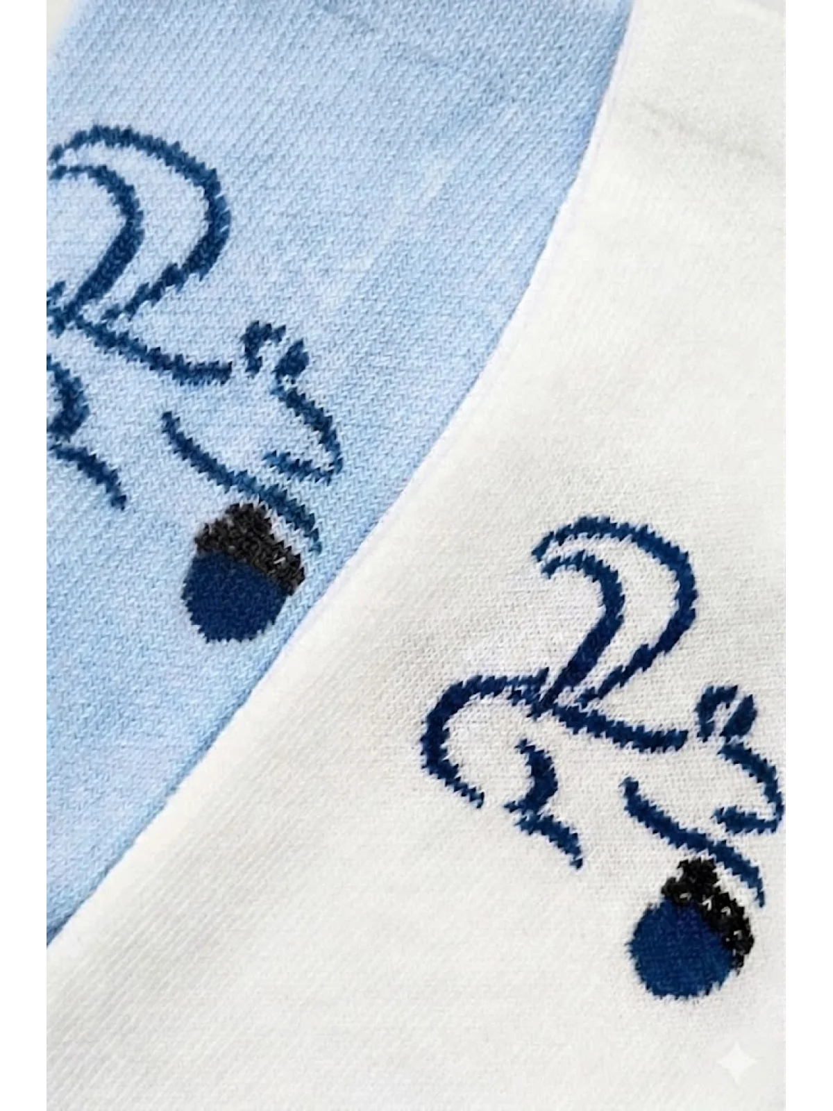 Cocole Socks Erkek Çocuk Patik Çorabı 2’li Set Beyaz & Mavi Sincap Desenli