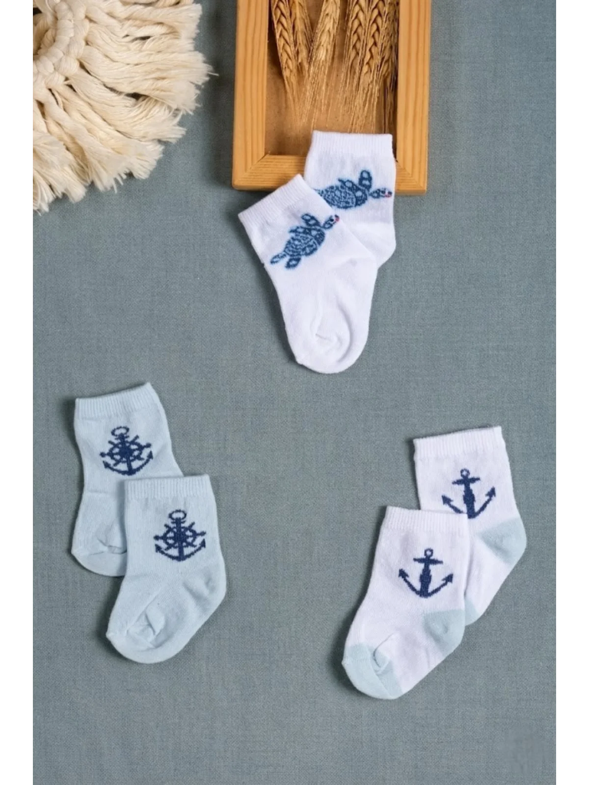 Cocole Socks Erkek Çocuk Soket Çorabı 3’lü Set – Pamuklu Kaplumbağa & Nautical Konsept Desenli