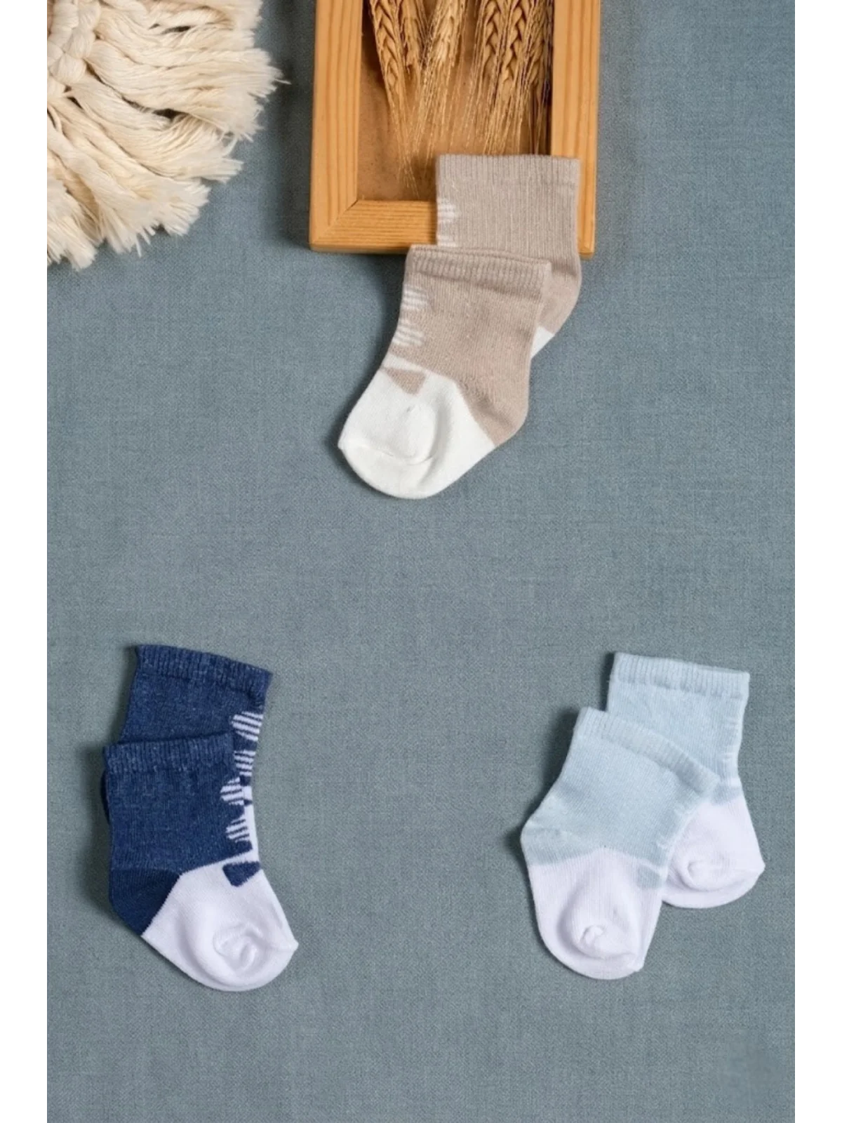 Cocole Socks Erkek Çocuk Soket Çorabı 3’lü Set – Pamuklu Minimalist Desenli