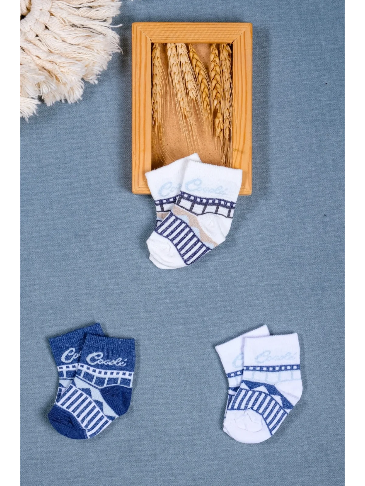Cocole Socks Erkek Bebek Soket Çorabı 3’lü Set – Pamuklu Özel Logolu & Çizgi Desenli
