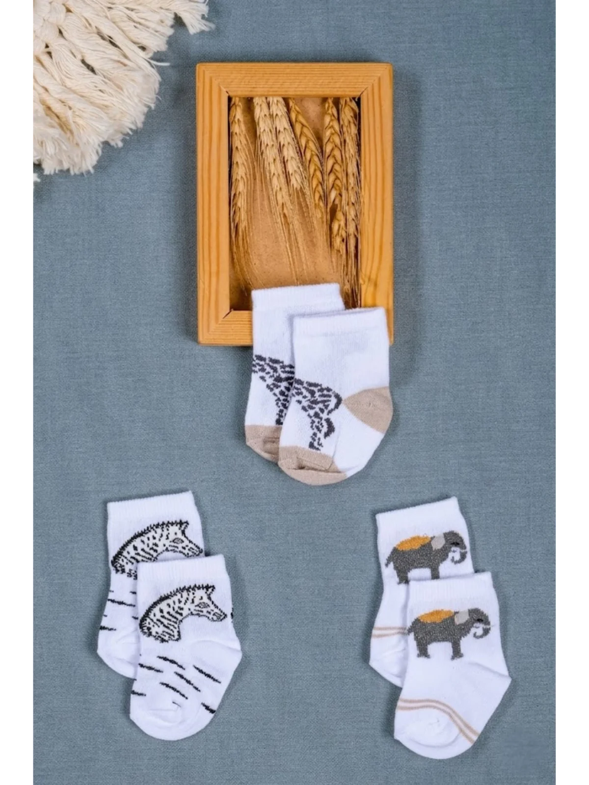 Cocole Socks Erkek Çocuk Soket Çorabı 3’lü Set – Pamuklu Safari & Hayvan Figürü Desenli