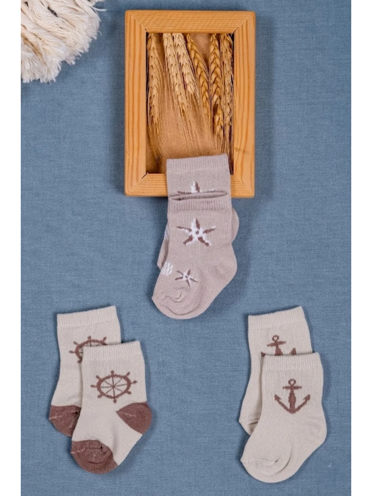 Cocole Socks Erkek Çocuk Soket Çorabı 3’lü Set – Pamuklu Bej Marin & Çapa Desenli