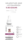 Arbutin, Aha+Bha, Niacinamide İçerikli Cilt Bakım Seti