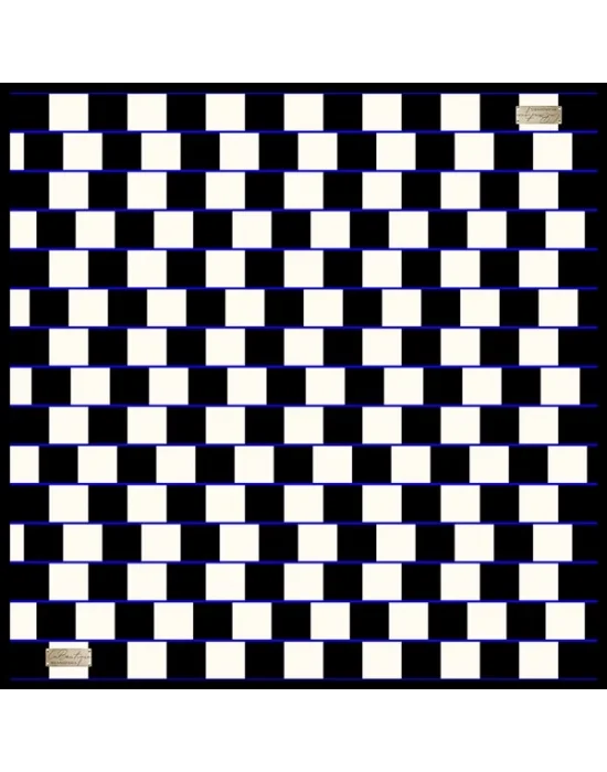 2010 SURA İPEK EŞARP 02