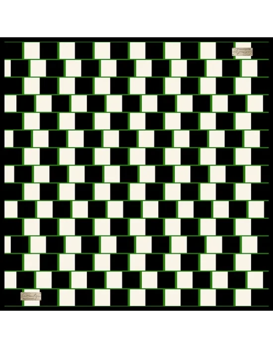 2010 SURA İPEK EŞARP 07