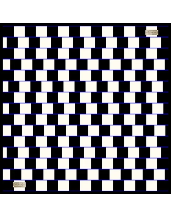 2010 TWILL İPEK - 02 - 90X90