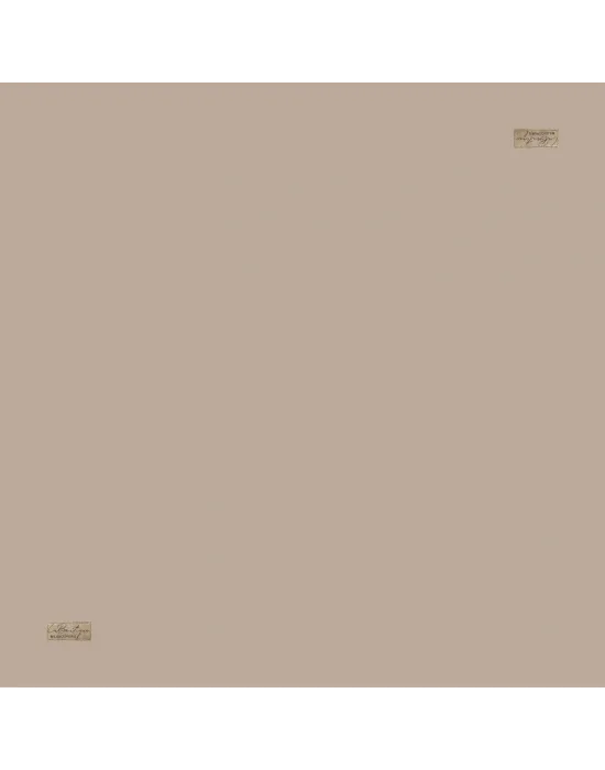 DIANA SERİSİ DÜZ RENK BEJ 90X90