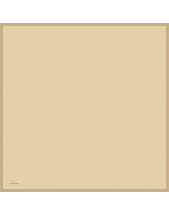 DÜZ RENK SURA İPEK - 38 - 90X90