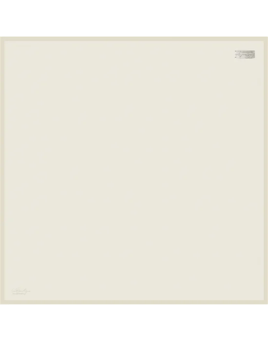 DÜZ RENK SURA İPEK - 42 - 90X90