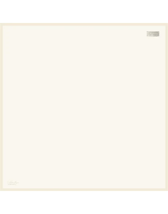 DÜZ RENK SURA İPEK - 43 - 90X90